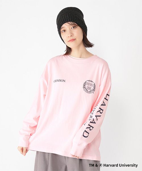 studio CLIP カレッジロングスリーブTシャツ ピンク FREE ウィメンズインナー スタジオクリップ 289339 and ST アンドエスティ(旧ドットエスティ) studio CLIP カレッジロングスリーブTシャツ ピンク FREE ウィメンズインナー スタジオクリップ 289339 and ST アンドエスティ(旧ドットエスティ)