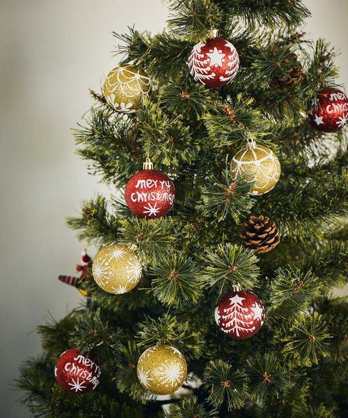 studio CLIP `v{[Zbg [CHRISTMAS 2025] NX}X zCg FREE X^WINbv 493576 and ST AhGXeBihbgGXeBj