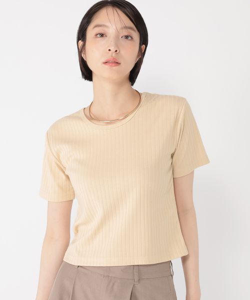 studio CLIP 【daily CLIP】コンパクトリブTシャツ ブラウン M DCウェア服飾 スタジオクリップ 571140 and ST アンドエスティ(旧ドットエスティ) studio CLIP 【daily CLIP】コンパクトリブTシャツ ブラウン M DCウェア服飾 スタジオクリップ 571140 and ST アンドエスティ(旧ドットエスティ)