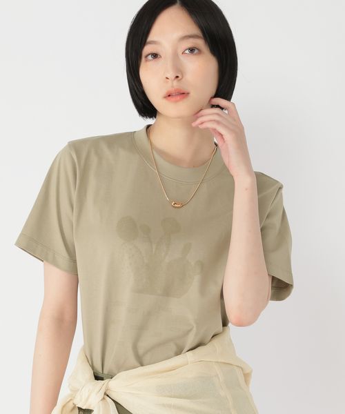 studio CLIP 【daily CLIP】ボタニカルプリントTシャツ カーキ FREE DCウェア服飾 スタジオクリップ 578523 and ST アンドエスティ(旧ドットエスティ) studio CLIP 【daily CLIP】ボタニカルプリントTシャツ カーキ FREE DCウェア服飾 スタジオクリップ 578523 and ST アンドエスティ(旧ドットエスティ)