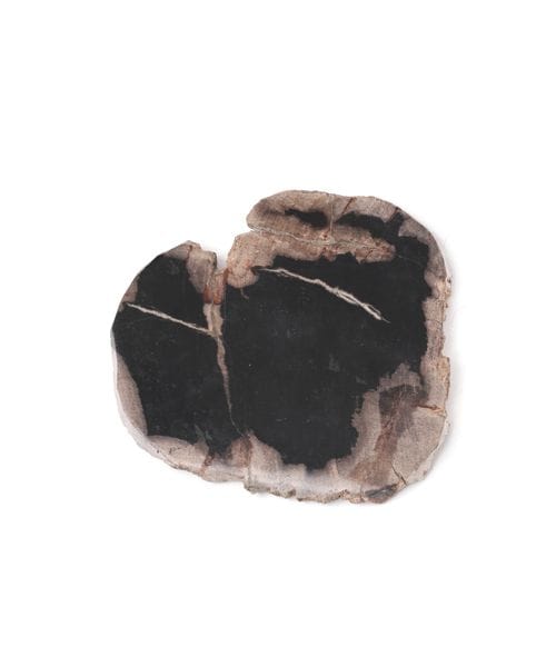 studio CLIP 【daily CLIP】amabro WOOD COASTER キッチンツール シルバー FREE スタジオクリップ 631076 and ST アンドエスティ(旧ドットエスティ) studio CLIP 【daily CLIP】amabro WOOD COASTER キッチンツール シルバー FREE スタジオクリップ 631076 and ST アンドエスティ(旧ドットエスティ)