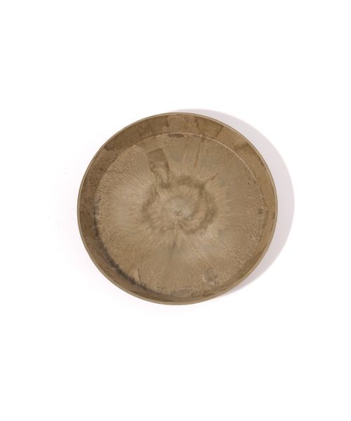 studio CLIP 【daily CLIP】amabro ARTSTONE ソーサー M ガーデン ライトベージュ FREE スタジオクリップ 631171 and ST アンドエスティ(旧ドットエスティ) studio CLIP 【daily CLIP】amabro ARTSTONE ソーサー M ガーデン ライトベージュ FREE スタジオクリップ 631171 and ST アンドエスティ(旧ドットエスティ)