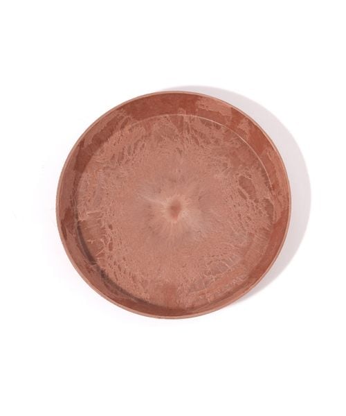 studio CLIP 【daily CLIP】amabro ARTSTONE ソーサー L ガーデン オレンジ FREE スタジオクリップ 631172 and ST アンドエスティ(旧ドットエスティ) studio CLIP 【daily CLIP】amabro ARTSTONE ソーサー L ガーデン オレンジ FREE スタジオクリップ 631172 and ST アンドエスティ(旧ドットエスティ)