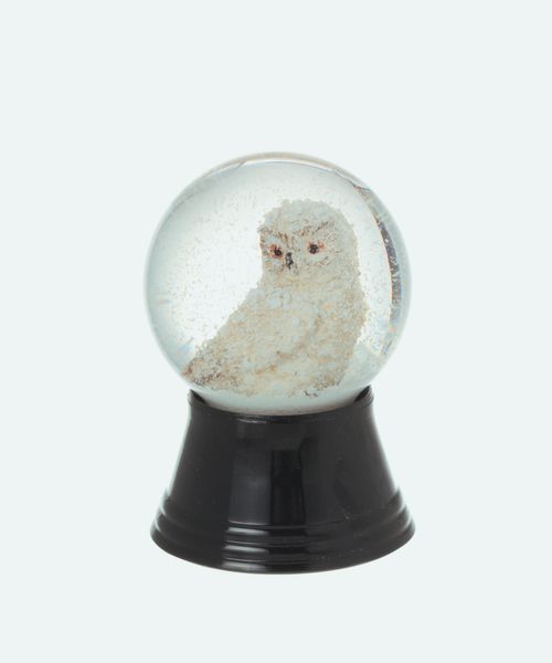 studio CLIP 【daily CLIP】PERZY スノードーム S インテリア雑貨 ナチュラル FREE スタジオクリップ 984648 and ST アンドエスティ(旧ドットエスティ) studio CLIP 【daily CLIP】PERZY スノードーム S インテリア雑貨 ナチュラル FREE スタジオクリップ 984648 and ST アンドエスティ(旧ドットエスティ)