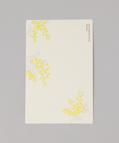 TODAY'S SPECIAL 活版印刷のポストカード / HUTTE PAPER WORKS オフホワイト ヘルスケア・ステーショナリー トゥデイズスペシャル 362020 and ST アンドエスティ(旧ドットエスティ) TODAY'S SPECIAL 活版印刷のポストカード / HUTTE PAPER WORKS オフホワイト ヘルスケア・ステーショナリー トゥデイズスペシャル 362020 and ST アンドエスティ(旧ドットエスティ)