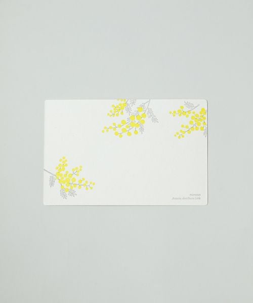 TODAY'S SPECIAL 活版印刷のポストカード / HUTTE PAPER WORKS オフホワイト ヘルスケア・ステーショナリー トゥデイズスペシャル 362020 and ST アンドエスティ(旧ドットエスティ) TODAY'S SPECIAL 活版印刷のポストカード / HUTTE PAPER WORKS オフホワイト ヘルスケア・ステーショナリー トゥデイズスペシャル 362020 and ST アンドエスティ(旧ドットエスティ)