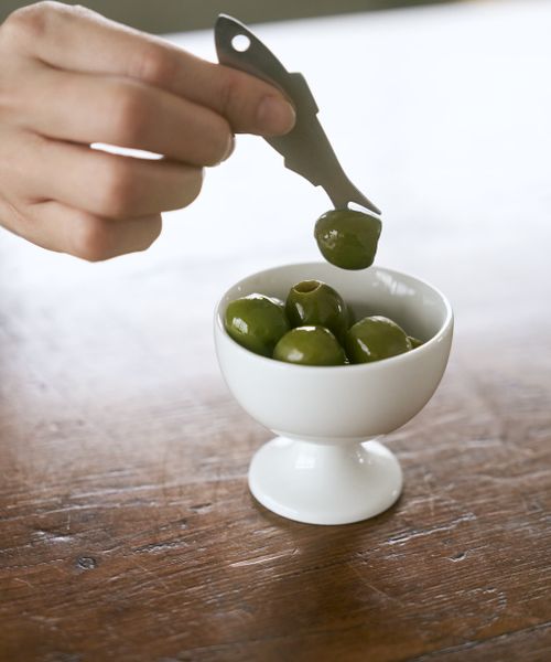 TODAY'S SPECIAL tBbVtH[N 6s[XZbg / balvi CgO[ Lb`E_CjO gDfCYXyV 371213 and ST AhGXeBihbgGXeBj