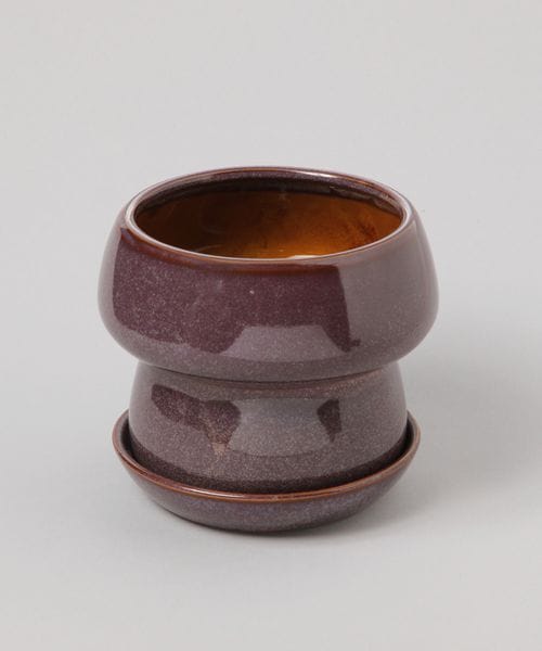 TODAY'S SPECIAL }bV p[v 16cm p[v O[EIWi gDfCYXyV 570541 and ST AhGXeBihbgGXeBj