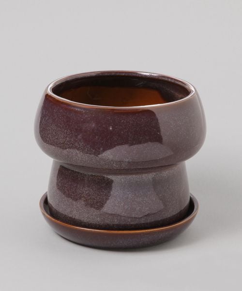 TODAY'S SPECIAL }bV 19cm p[v O[EIWi gDfCYXyV 570542 and ST AhGXeBihbgGXeBj