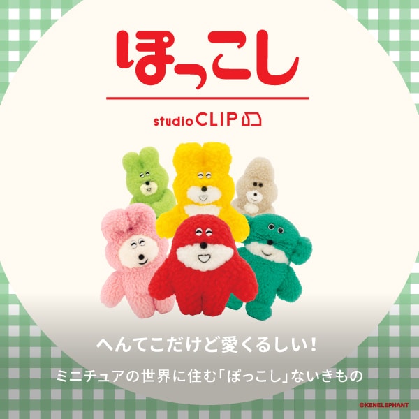 SC ぽっこし