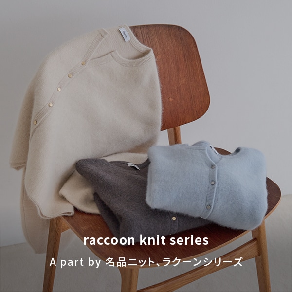 AP ラクーンコンシリーズ